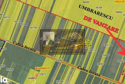 Teren de 6797 mp, în Ruginești - 3