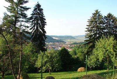 Casă cu 4 camere în Angofa - 6