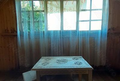 Casă cu 3 camere cu Teren 110 Mp în Bistra Mureșului - 1