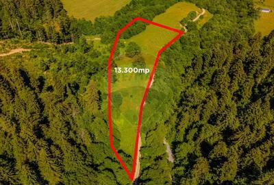 COMISION 0% Teren Bradet 7300 + 6000 mp/ Sacele /Intravilan - 6