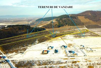 Terenuri in Livada Noua Sanpetru langa Dealul Lempes - 6