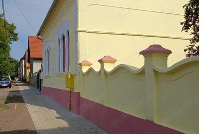 Casa stil baroc de vanzare , central pe strada principala (DN 6) ,o proprietate deosebita! - 8