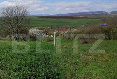 Teren intravilan, 1500 mp in Turda - 1