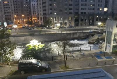 Apartament cu 1 camere în Victoriei