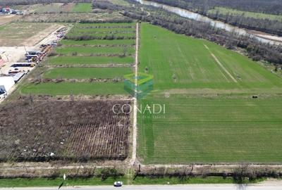 Teren de vanzare -  Bolintin Vale 10 ha - 3