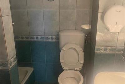 Parcul Circului, vila P+M, contructie 2001,6 camere, pretabil birou - 8