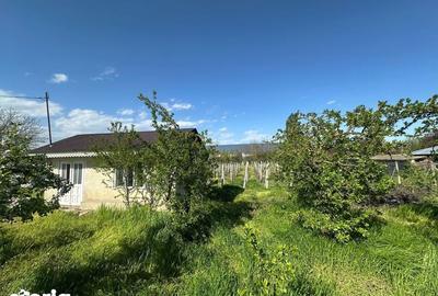Teren de 3000 mp, în Fundeni - 4