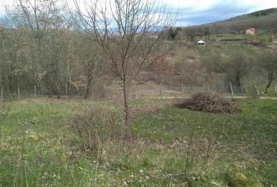 Teren de 4384 mp, în Nord