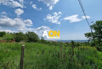 De vanzare 998 mp teren intravilan, Cetate - 4