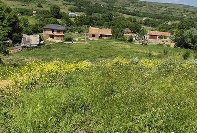 Teren de 2316 mp, în Feiurdeni - 7