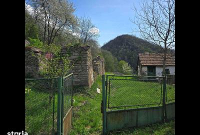 Teren de 3000 mp, în Certeju de Sus - 12