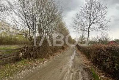 Teren intravilan de vanzare 550m front 21 m utilitati la 120m Cisnadie - 3