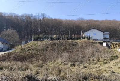 Teren de 694 mp, în Bascov - 2