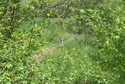 Teren Construcții intravilan de 500 mp, în Găneasa - 1