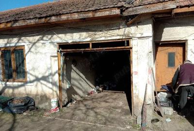 Casă cu Teren 1920 Mp în Central - 5