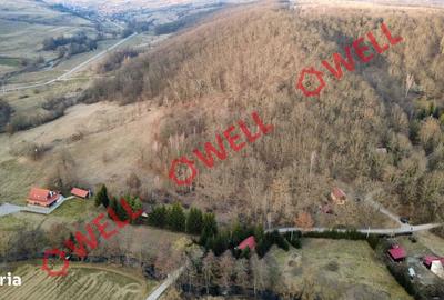 Teren de 16800 mp, în Bățani - 2