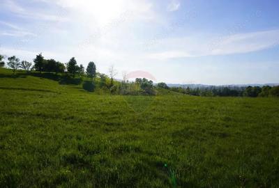 Teren 15,000mp Sighetu Marmatiei / Strada Mocani?ei - 11