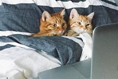 Garsonieră semidecomandată în Berceni