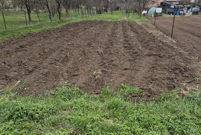 Spațiu comercial, în Luna - 2