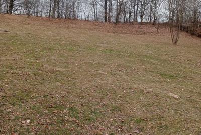 Teren de 3400 mp, în Tănăsești