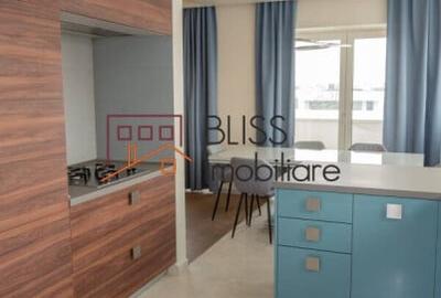 Apartament cu 4 camere în Iancu Nicolae - 13