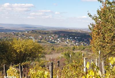 Teren de 2525 mp, în Bârnova