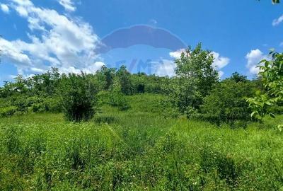 Teren Intravilan de vanzare 3551mp Poiana Copaceni Com Gura Vitioarei - 10