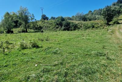 Teren extravilan de 17940 mp, în Vama - 2