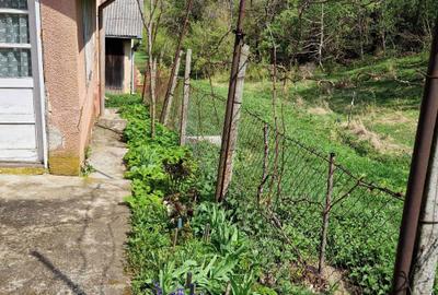 Casă cu 4 camere în Cireșoaia - 4