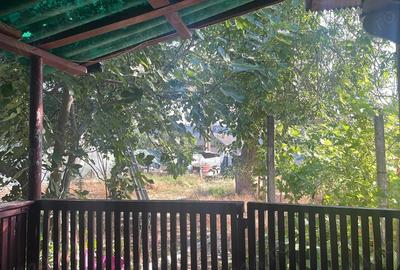 Casă cu 3 camere în Mahmudia - 4