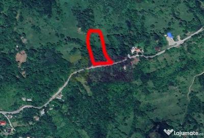 Teren de 3092 mp, în Telega - 16