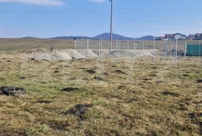 Casă individuală cu 1 camere cu Teren 520 Mp în Sânpetru - 3