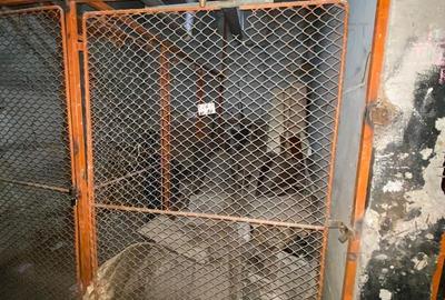 Apartament cu 3 camere decomandat în Pantelimon - 14