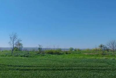 Teren de 4000 mp, în Budeni - 1