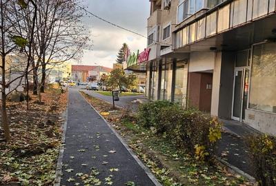 Spatiu comercial Satu Mare - 1