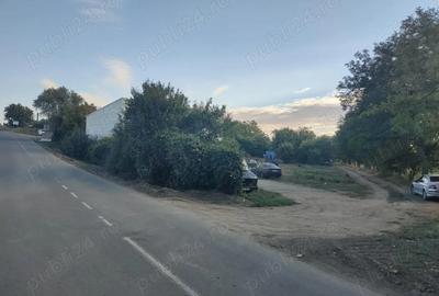 Casa cu teren 2200 mp si hala noua de 154 mp in localitatea Bodrogu Nou la 10 km de Arad - 8