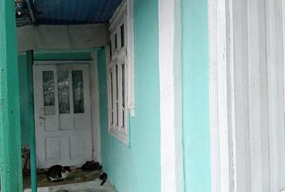 Casă cu 2 camere în Central - 5