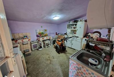 Casă cu 1 camere cu Teren 2676 Mp în Șimian - 8
