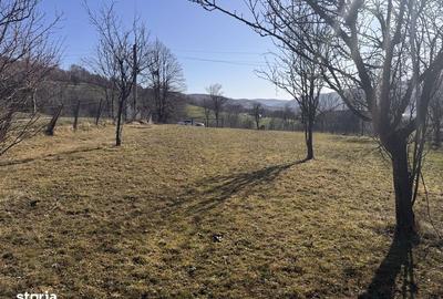 Teren de 3020 mp, în Negreni - 2