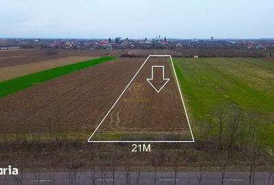 Teren de 4300 mp, în Odoreu - 3