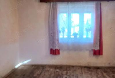 Casă cu Teren 3435 Mp în Boiu - 10