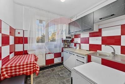 Apartament cu 2 camere de inchiriat in zona Podgoria - 5