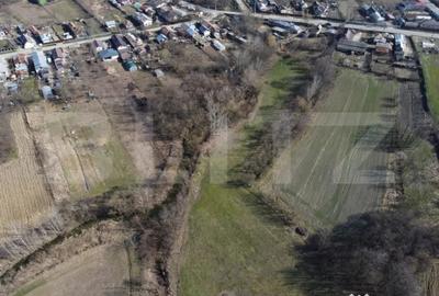 Casă cu 2 camere cu Teren 3800 Mp în Costești - 4