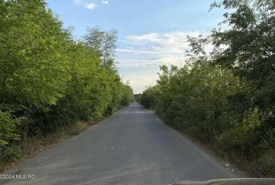 Corbeanca - Tamasi, intravilan, 16562 mp, deschidere 93 m, rezidential - 3