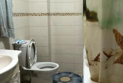 Apartament 3 camere Sos Salaj stradal ,15 minute Piata Unirii - 6