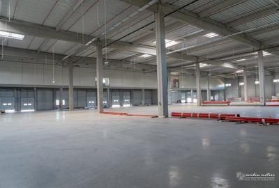 Spațiu industrial, de 3,000 mp, în Florești - 2