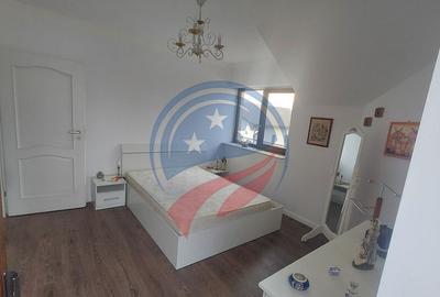 Casa de vacanta in ?imnicu de Jos - 17