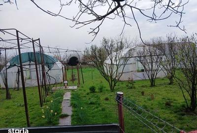Casă cu 4 camere cu Teren 1500 Mp în Tichilești - 7