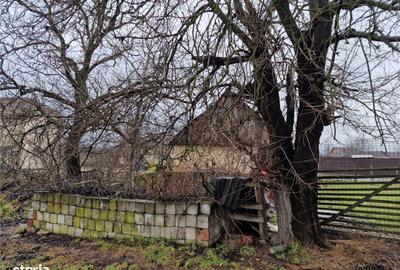 Casă cu 4 camere cu Teren 4600 Mp în Gepiu - 4