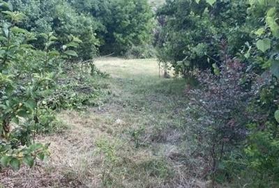 Teren cu iesire la lac si casa in stil brancovenesc - 20